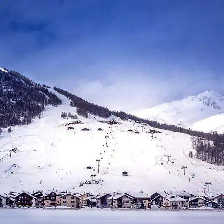 Viola Livigno